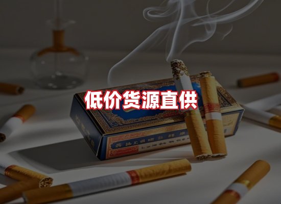 专业团队